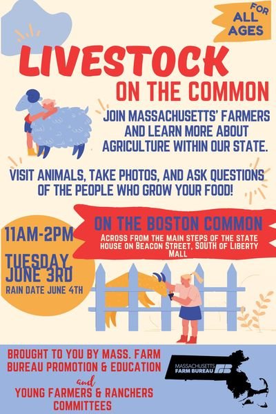 Livestock on the Common postcard - public